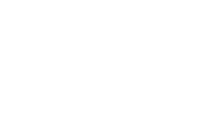 11A HR VMS Logo